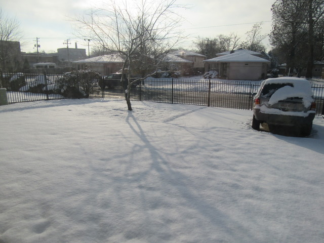 10228 S Beverly Ave, Chicago, IL 60643 photo 24