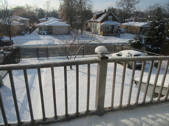 10228 S Beverly Ave, Chicago, IL 60643 photo 19