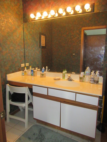 10228 S Beverly Ave, Chicago, IL 60643 photo 17