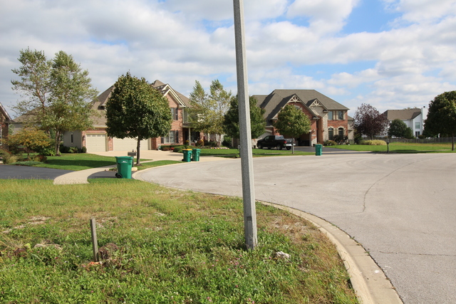 16424 S Mueller Cir, Plainfield, IL 60586 photo 4