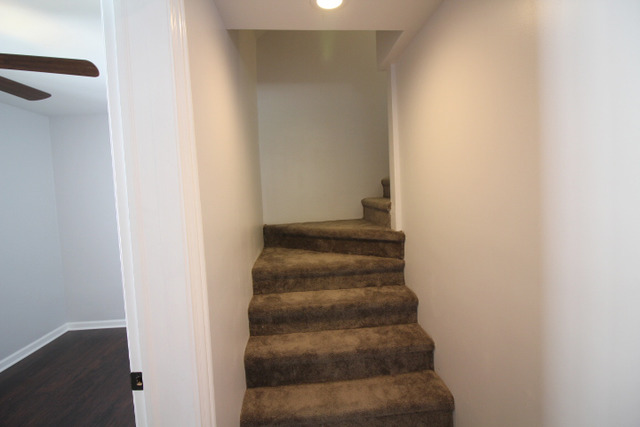 917 North Ave, Des Plaines, IL 60016 photo 11