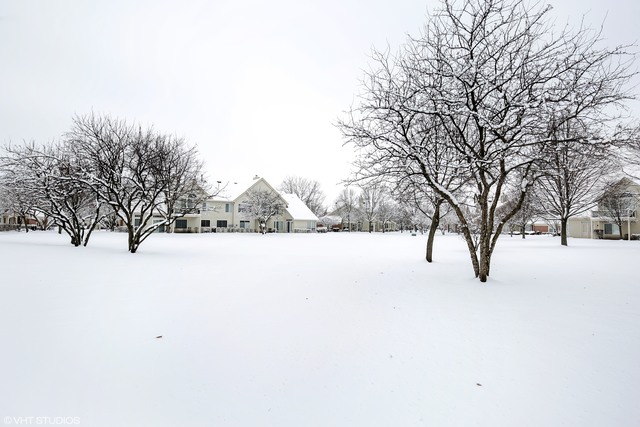 415 Cobbler Ct #2, Bartlett, IL 60103 photo 19