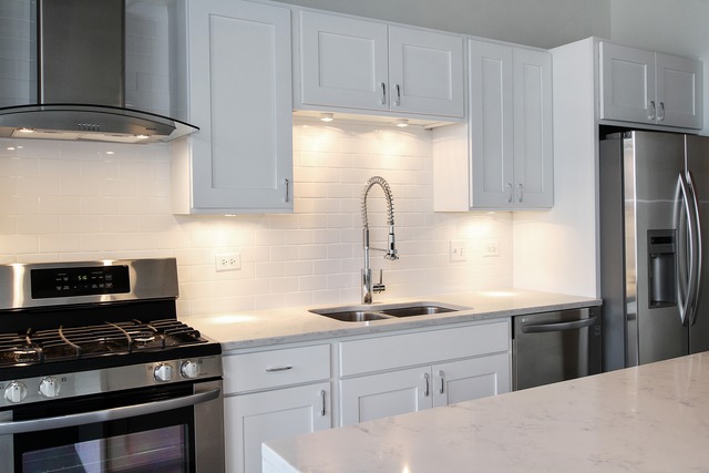 50 E 16th St #1102, Chicago, IL 60616 photo 3