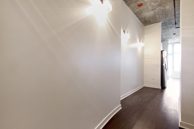 50 E 16th St #1102, Chicago, IL 60616 photo 8