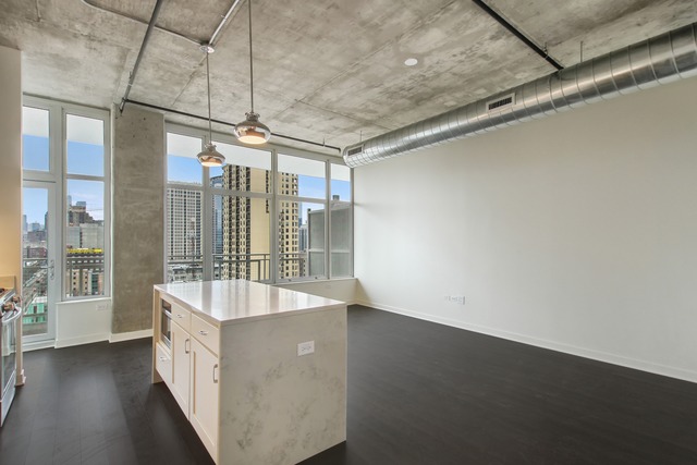50 E 16th St #1102, Chicago, IL 60616 photo 2