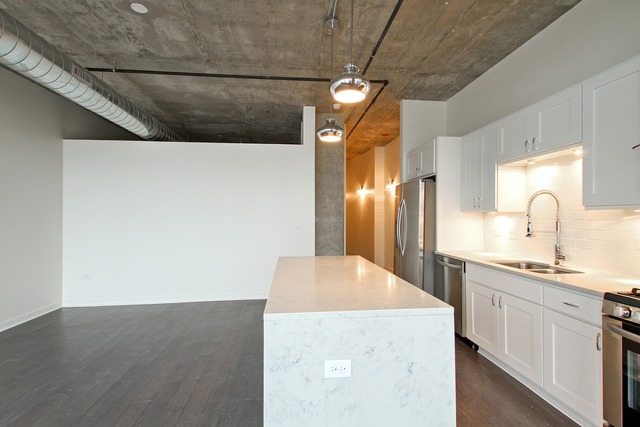 50 E 16th St #1102, Chicago, IL 60616 photo 5