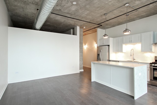50 E 16th St #1102, Chicago, IL 60616 photo 4