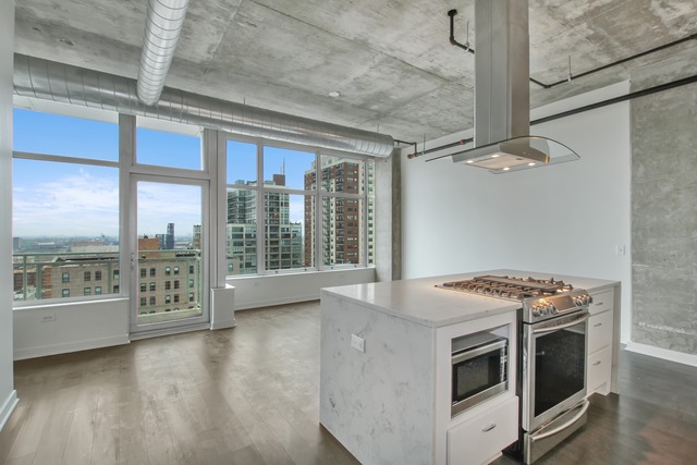50 E 16th St #413, Chicago, IL 60616 photo 2