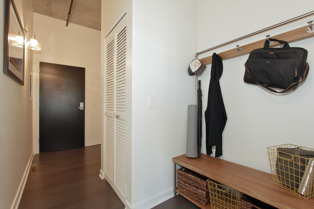 50 E 16th St #413, Chicago, IL 60616 photo 6