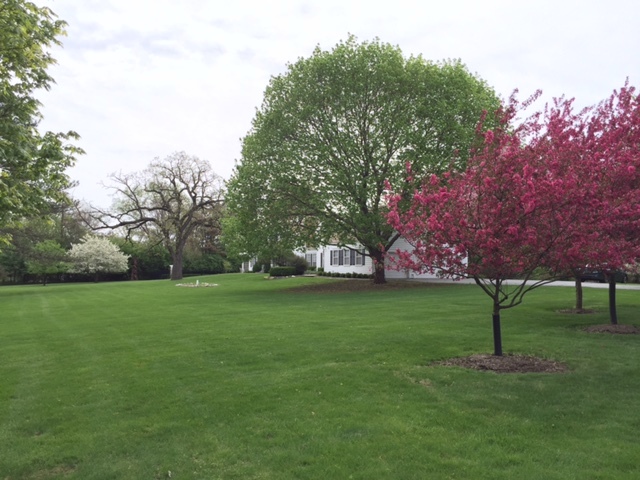 5845 Edgewood Dr, Algonquin, IL 60102 photo 26