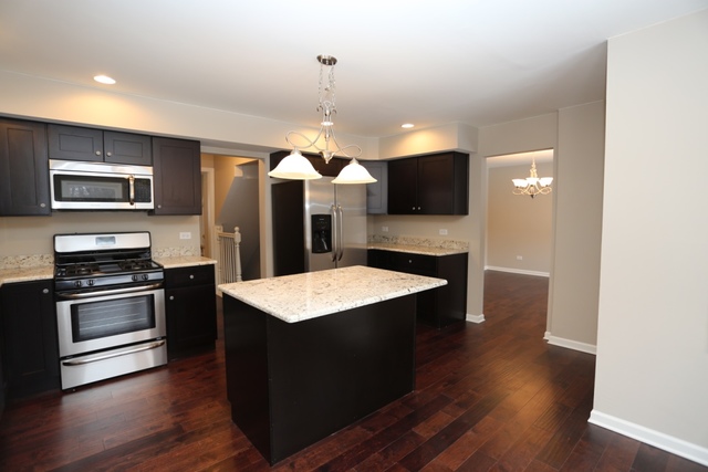 2501 207th St, Olympia Fields, IL 60461 photo 3