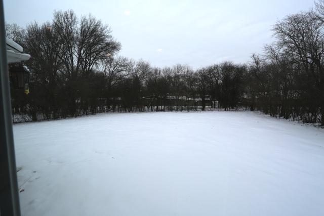 2501 207th St, Olympia Fields, IL 60461 photo 23