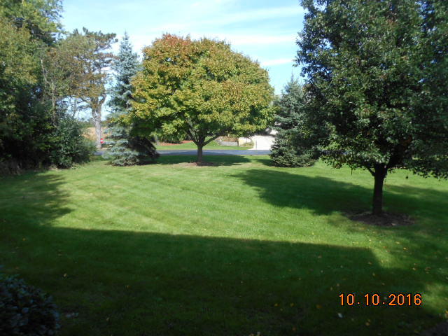 4 N450 Somerset Ct, Wayne, IL 60184 photo 3