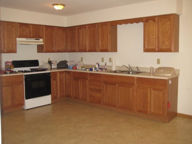 375 E Reed St #2, Braidwood, IL 60408 photo 5
