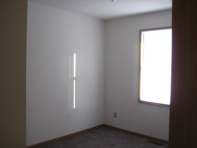 375 E Reed St #2, Braidwood, IL 60408 photo 7