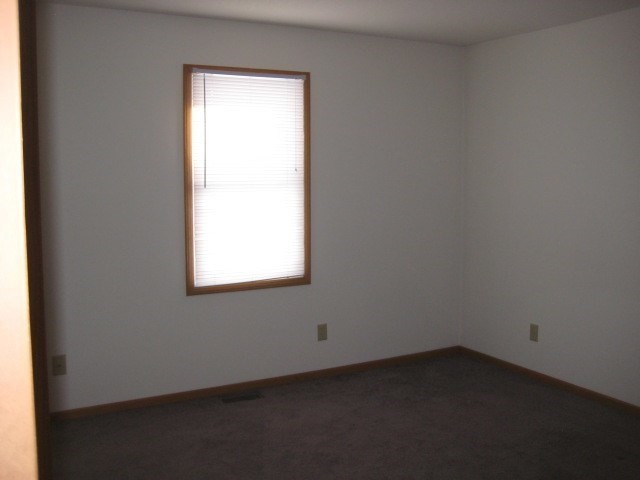 375 E Reed St #2, Braidwood, IL 60408 photo 6