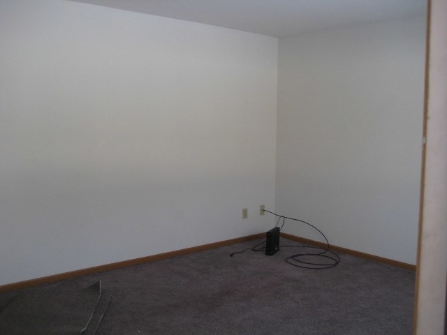 375 E Reed St #2, Braidwood, IL 60408 photo 2