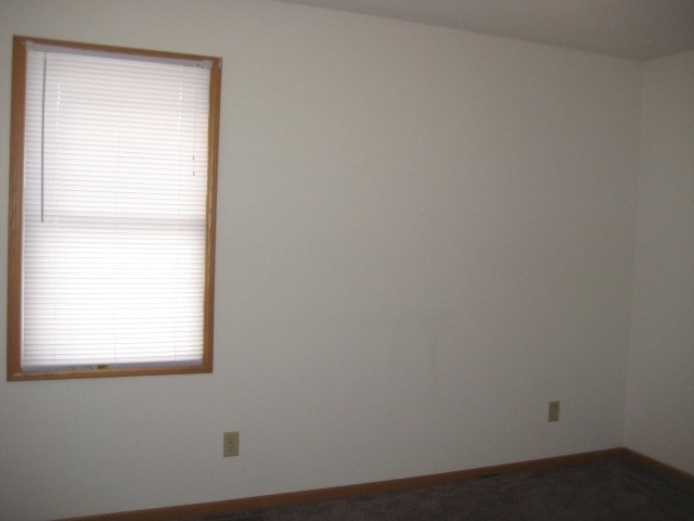 375 E Reed St #2, Braidwood, IL 60408 photo 4