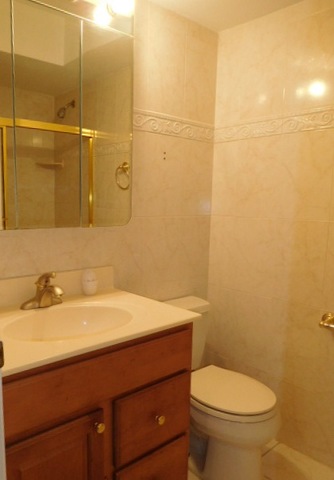 1101 Pleasant Run Dr #1007, Wheeling, IL 60090 photo 15