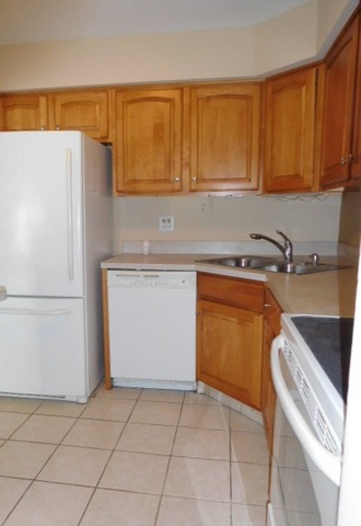 1101 Pleasant Run Dr #1007, Wheeling, IL 60090 photo 8