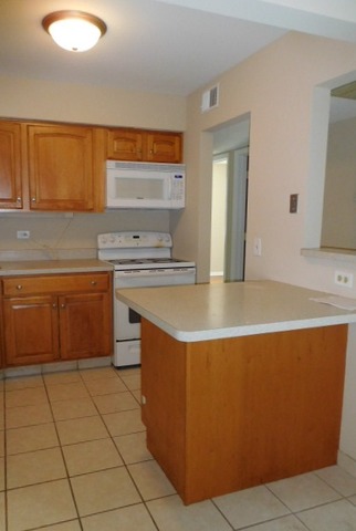 1101 Pleasant Run Dr #1007, Wheeling, IL 60090 photo 7
