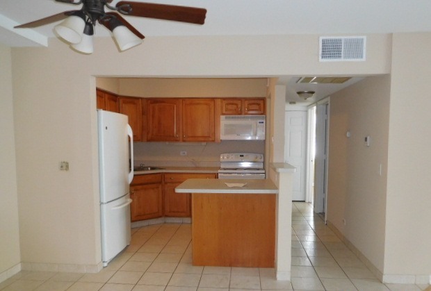 1101 Pleasant Run Dr #1007, Wheeling, IL 60090 photo 6