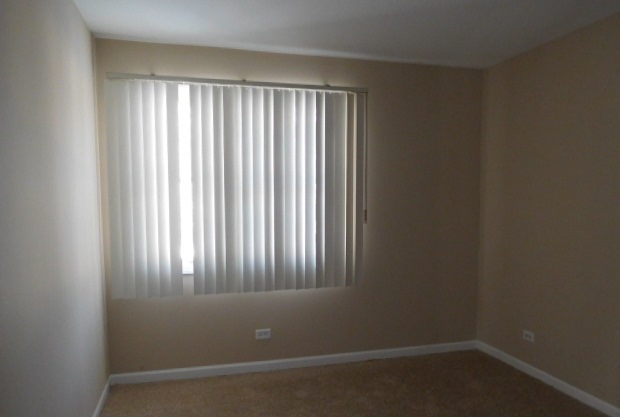 1101 Pleasant Run Dr #1007, Wheeling, IL 60090 photo 9