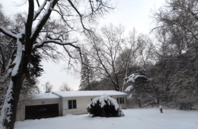 1117 Isabel Dr, Algonquin, IL 60102 photo 1