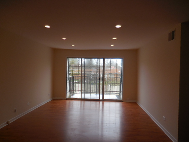 1101 Pleasant Run Dr #1013, Wheeling, IL 60090 photo 4
