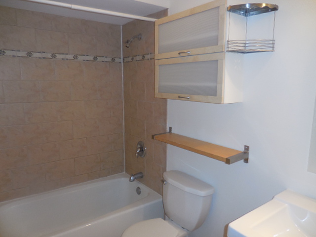 1101 Pleasant Run Dr #1013, Wheeling, IL 60090 photo 14