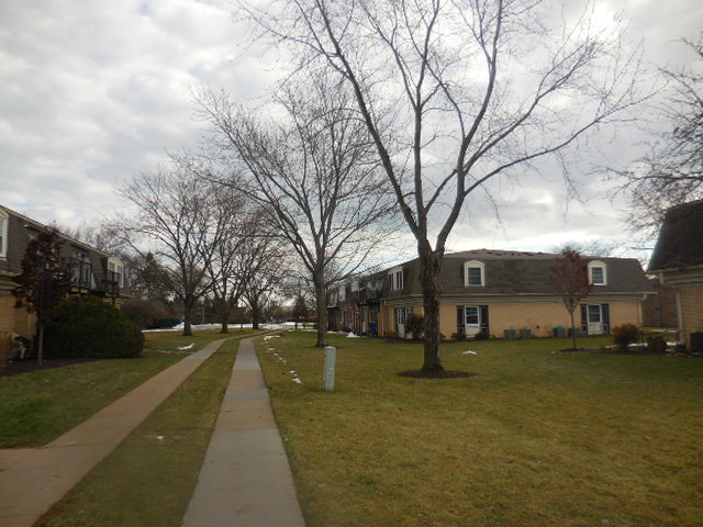 1101 Pleasant Run Dr #1013, Wheeling, IL 60090 photo 3