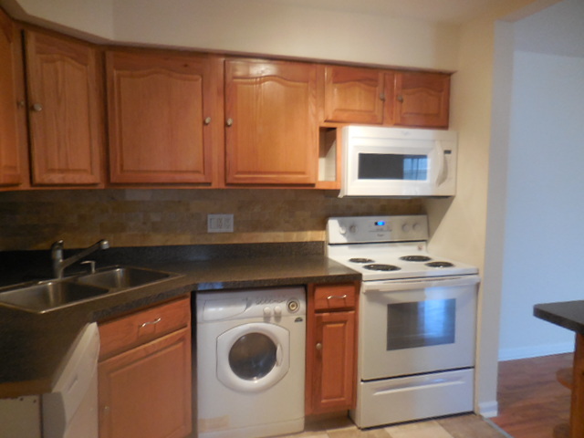 1101 Pleasant Run Dr #1013, Wheeling, IL 60090 photo 9