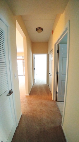 660 Prestwick Ln #201, Wheeling, IL 60090 photo 18