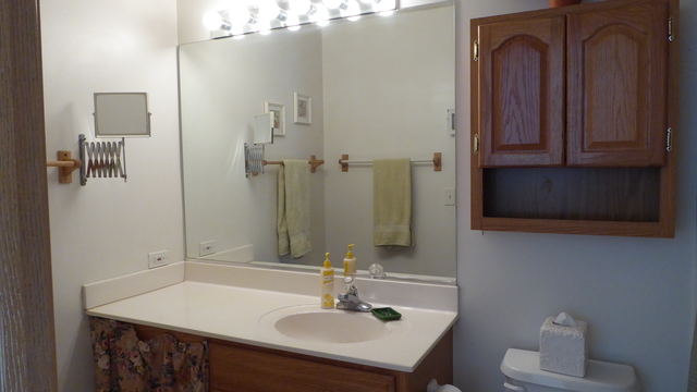 4156 Oak Tree Ln, Plainfield, IL 60586 photo 11