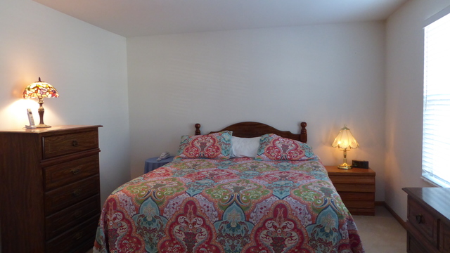 4156 Oak Tree Ln, Plainfield, IL 60586 photo 9
