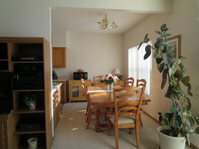 4156 Oak Tree Ln, Plainfield, IL 60586 photo 5