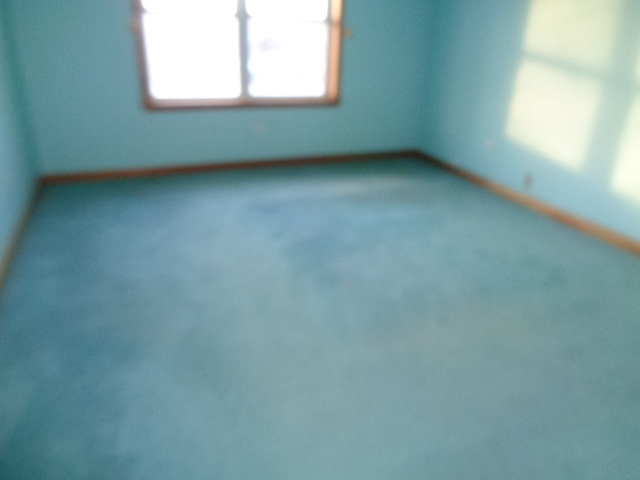 18519 Burnham Ave, Lansing, IL 60438 photo 11