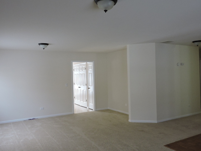 609 Rose Ln, Bartlett, IL 60103 photo 10