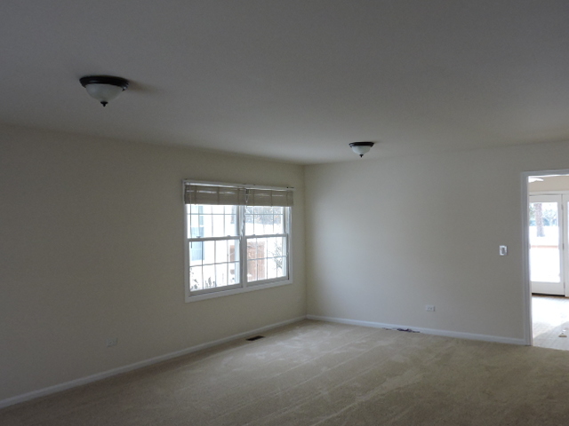 609 Rose Ln, Bartlett, IL 60103 photo 9