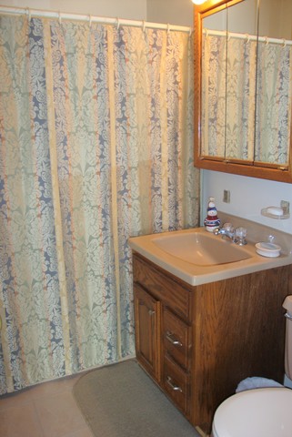 4828 W Main St, Monee, IL 60449 photo 8