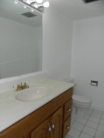 224 E Bailey Rd #A, Naperville, IL 60565 photo 8