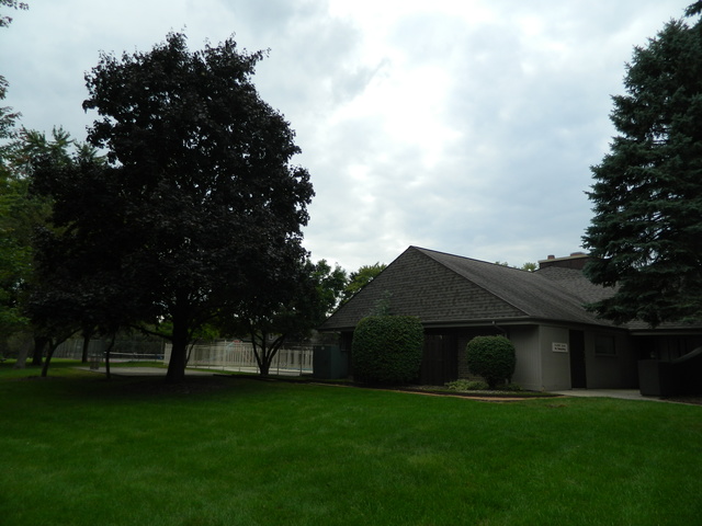 224 E Bailey Rd #A, Naperville, IL 60565 photo 9