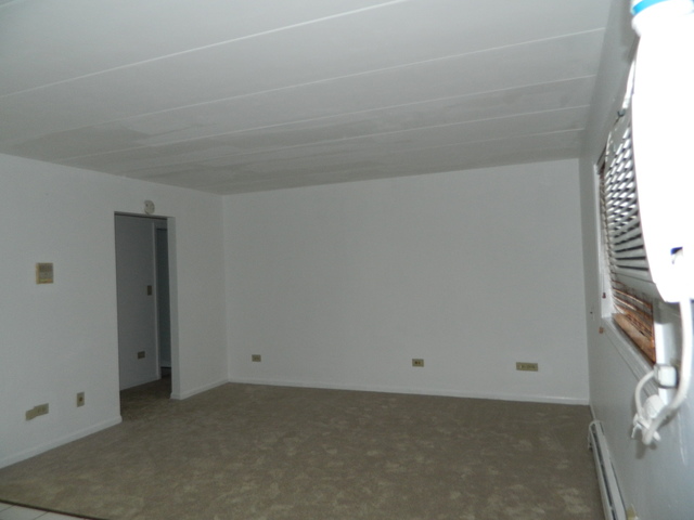 224 E Bailey Rd #A, Naperville, IL 60565 photo 3