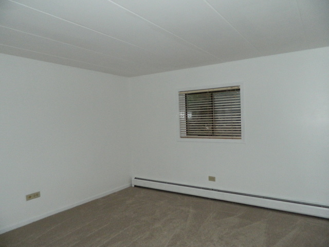 224 E Bailey Rd #A, Naperville, IL 60565 photo 7