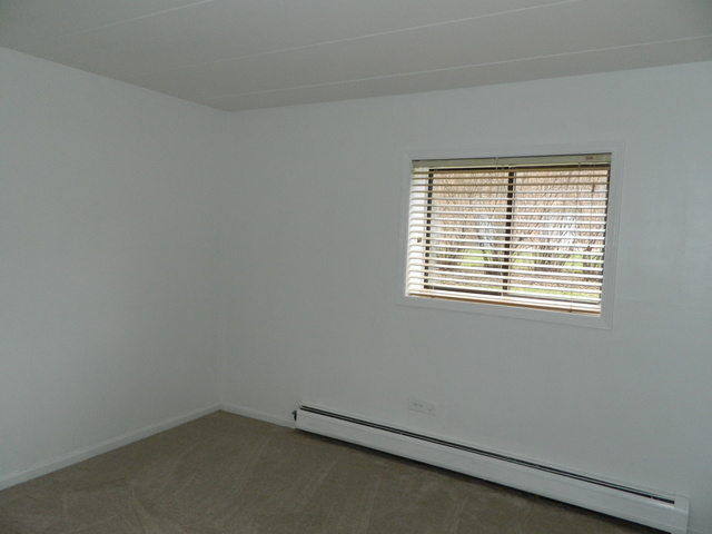 224 E Bailey Rd #A, Naperville, IL 60565 photo 4