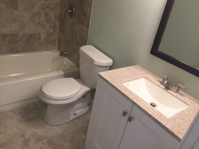 1013 Bangs St, Aurora, IL 60505 photo 9