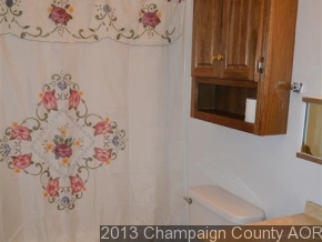 220 E Springfield Rd, Arcola, IL 61910 photo 9
