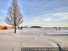 422 E Newton, Mansfield, IL 61854 photo 24