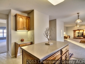 422 E Newton, Mansfield, IL 61854 photo 10