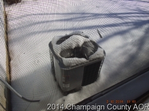 3003 Blair, Champaign, IL 61821 photo 20
